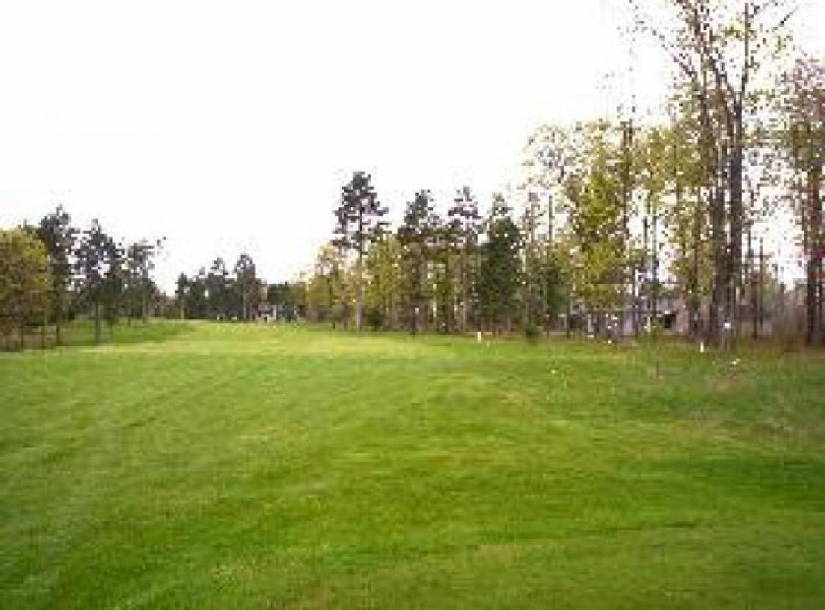 Picture of Residential Land For Sale in Spruce, Michigan, United States