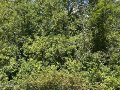 Residential Land For Sale in Knoxville, Tennessee