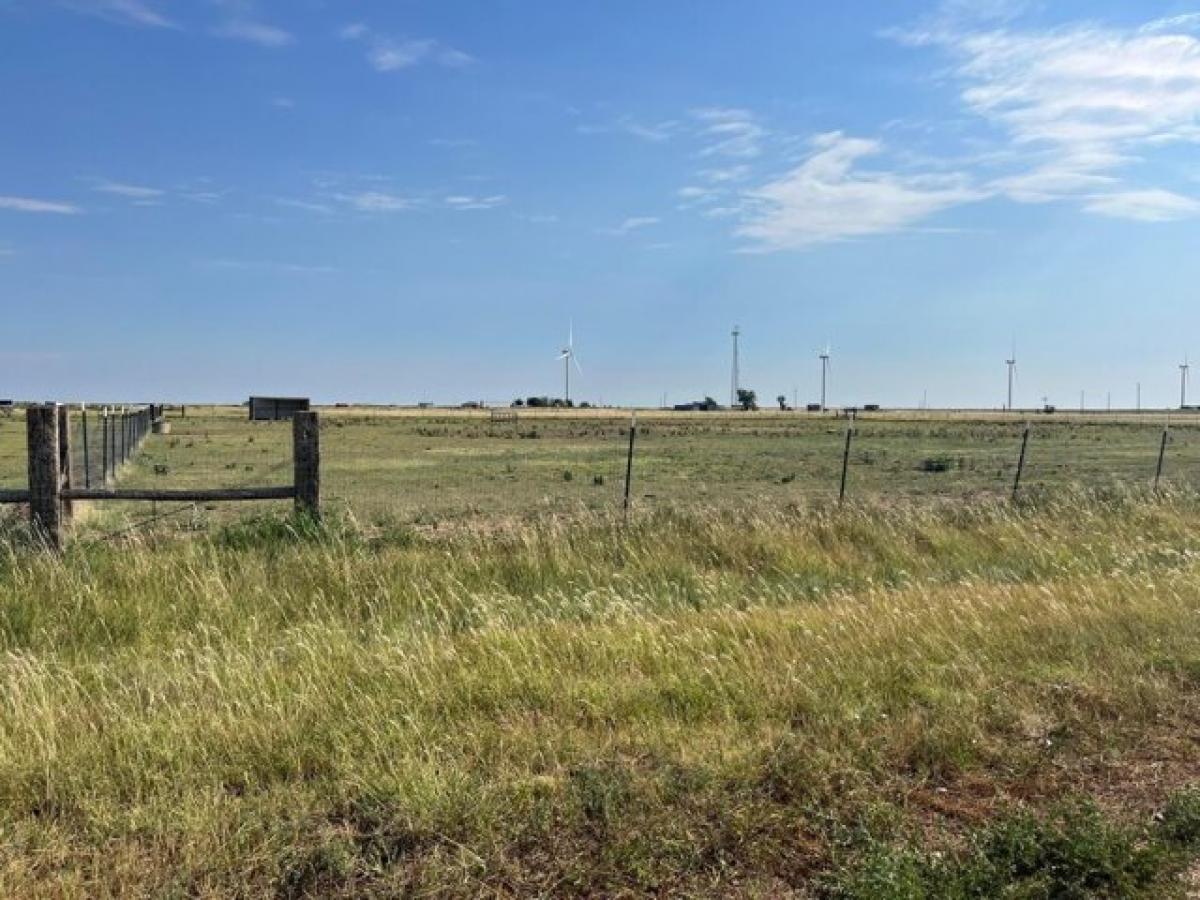 Picture of Residential Land For Sale in Panhandle, Texas, United States