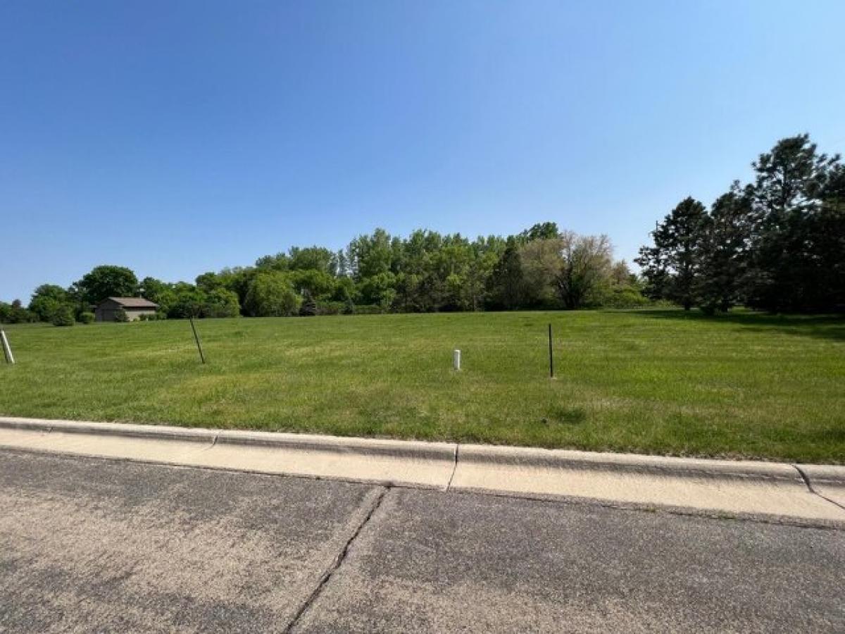 Picture of Residential Land For Sale in Albert Lea, Minnesota, United States