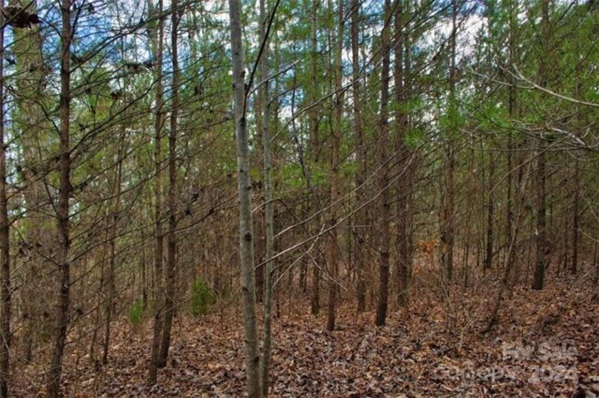 Picture of Residential Land For Sale in Rutherfordton, North Carolina, United States