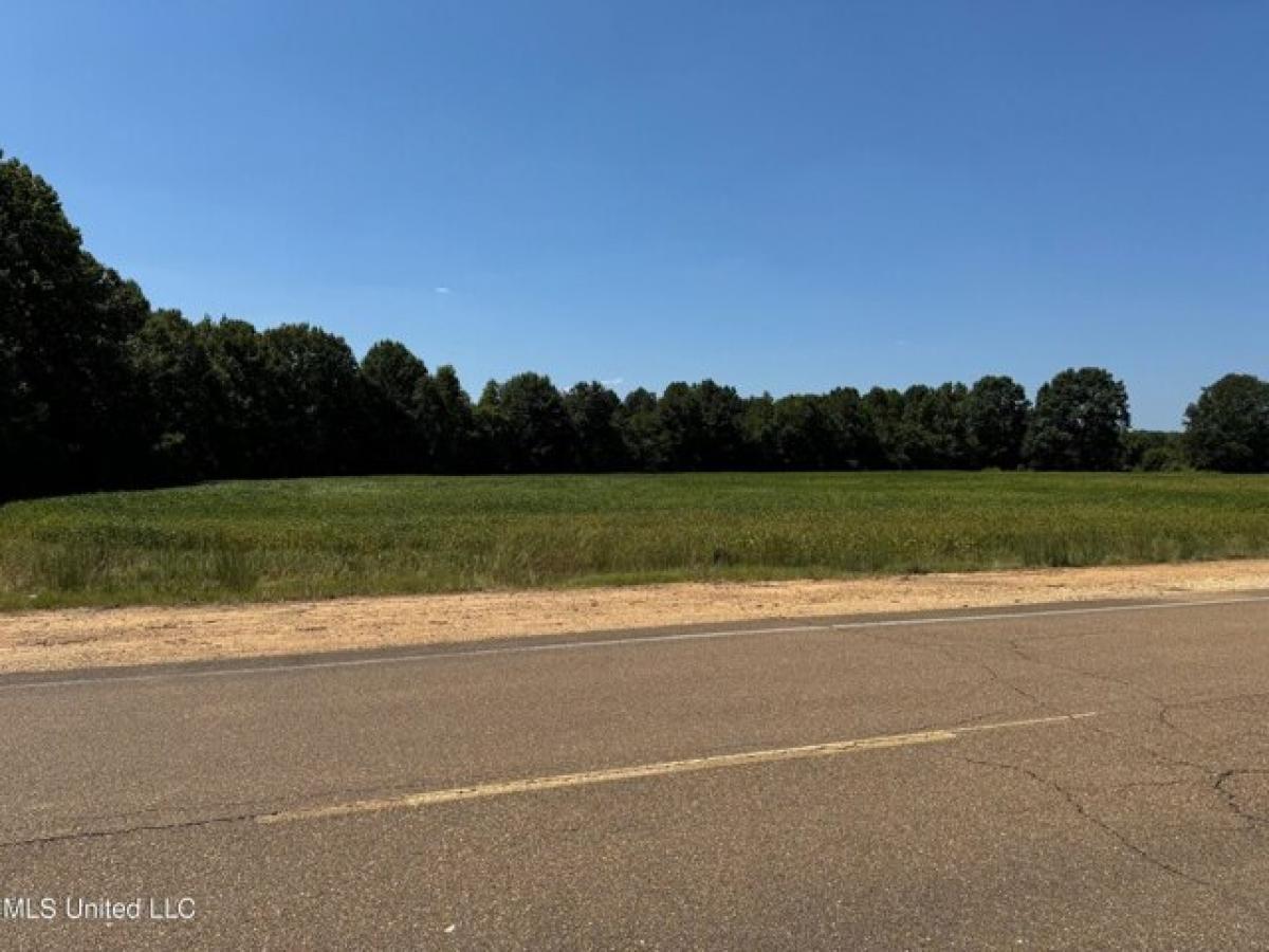 Picture of Residential Land For Sale in Banner, Mississippi, United States