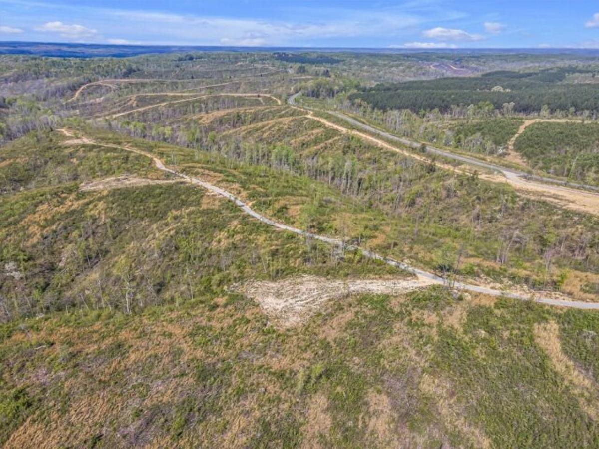 Picture of Residential Land For Sale in Waynesboro, Tennessee, United States