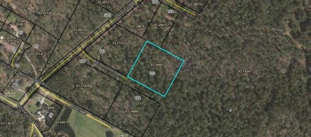 Picture of Residential Land For Sale in Brunswick, Georgia, United States