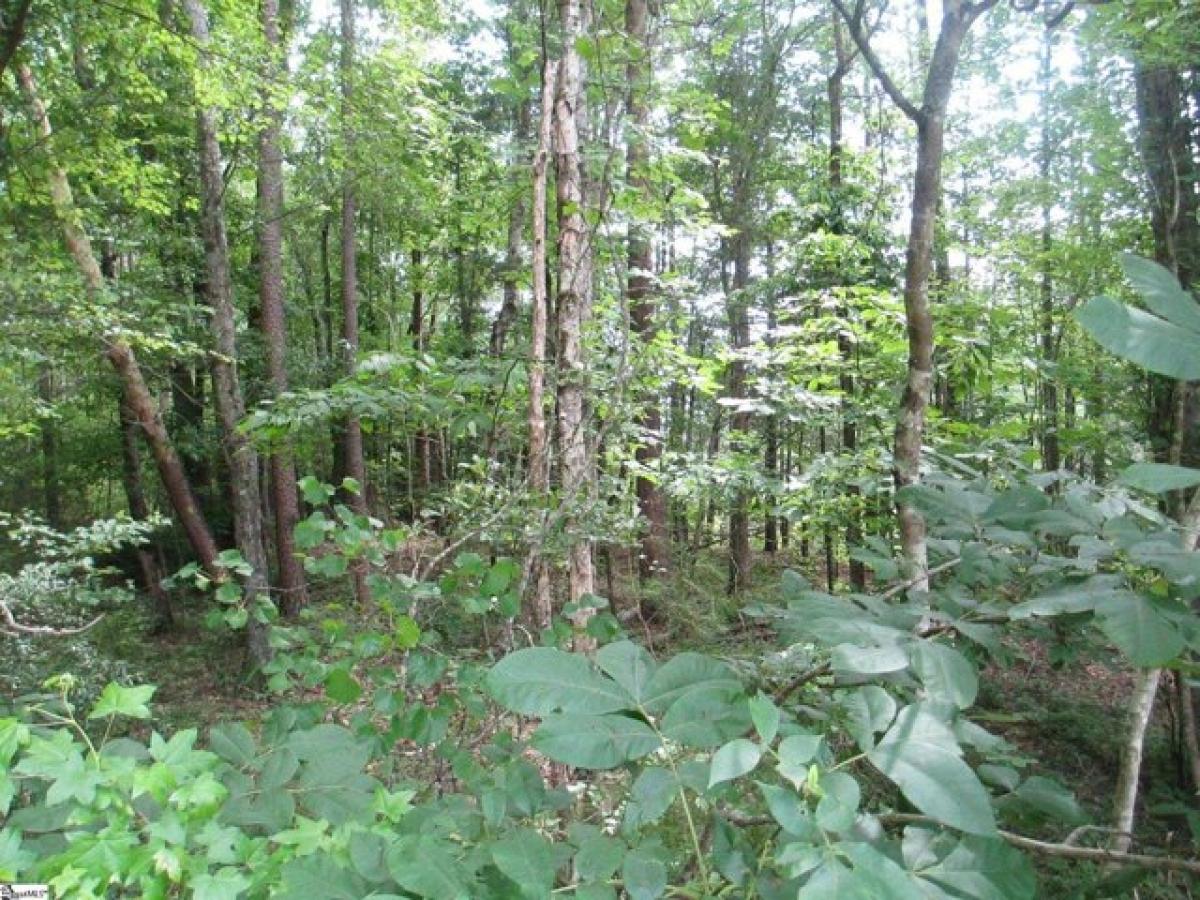 Picture of Residential Land For Sale in Mountain Rest, South Carolina, United States