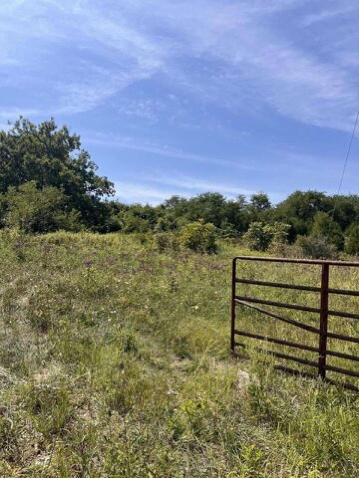 Picture of Residential Land For Sale in Mount Olivet, Kentucky, United States