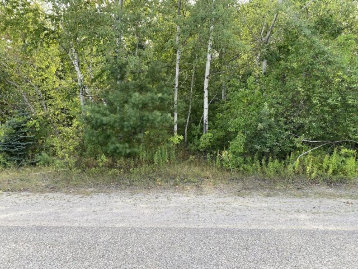 Picture of Residential Land For Sale in Rogers City, Michigan, United States