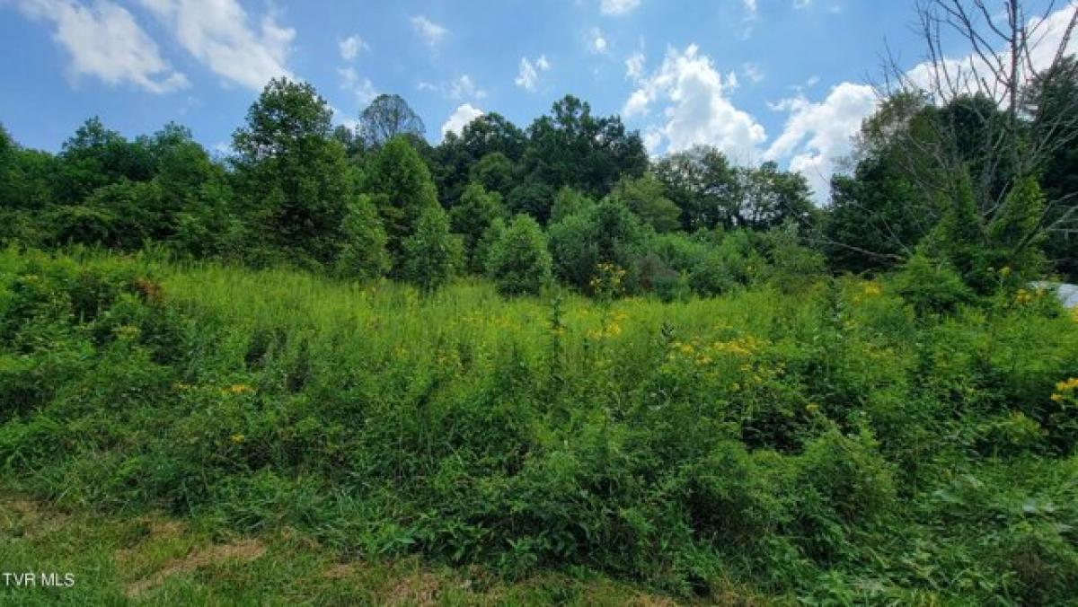 Picture of Residential Land For Sale in Mountain City, Tennessee, United States