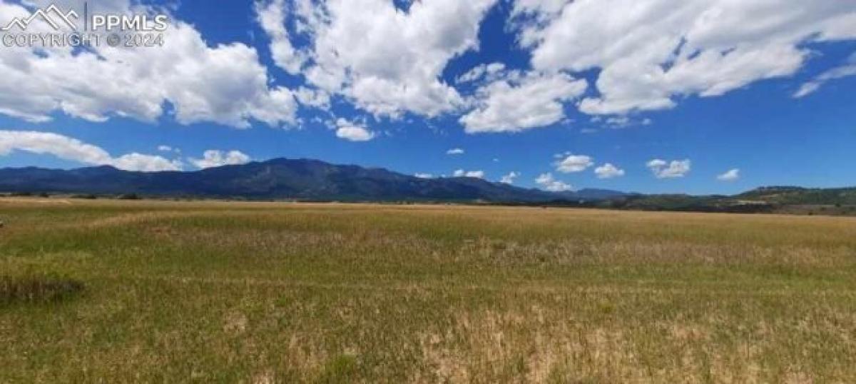 Picture of Residential Land For Rent in Colorado City, Colorado, United States