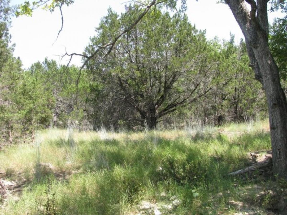 Picture of Residential Land For Sale in Evant, Texas, United States