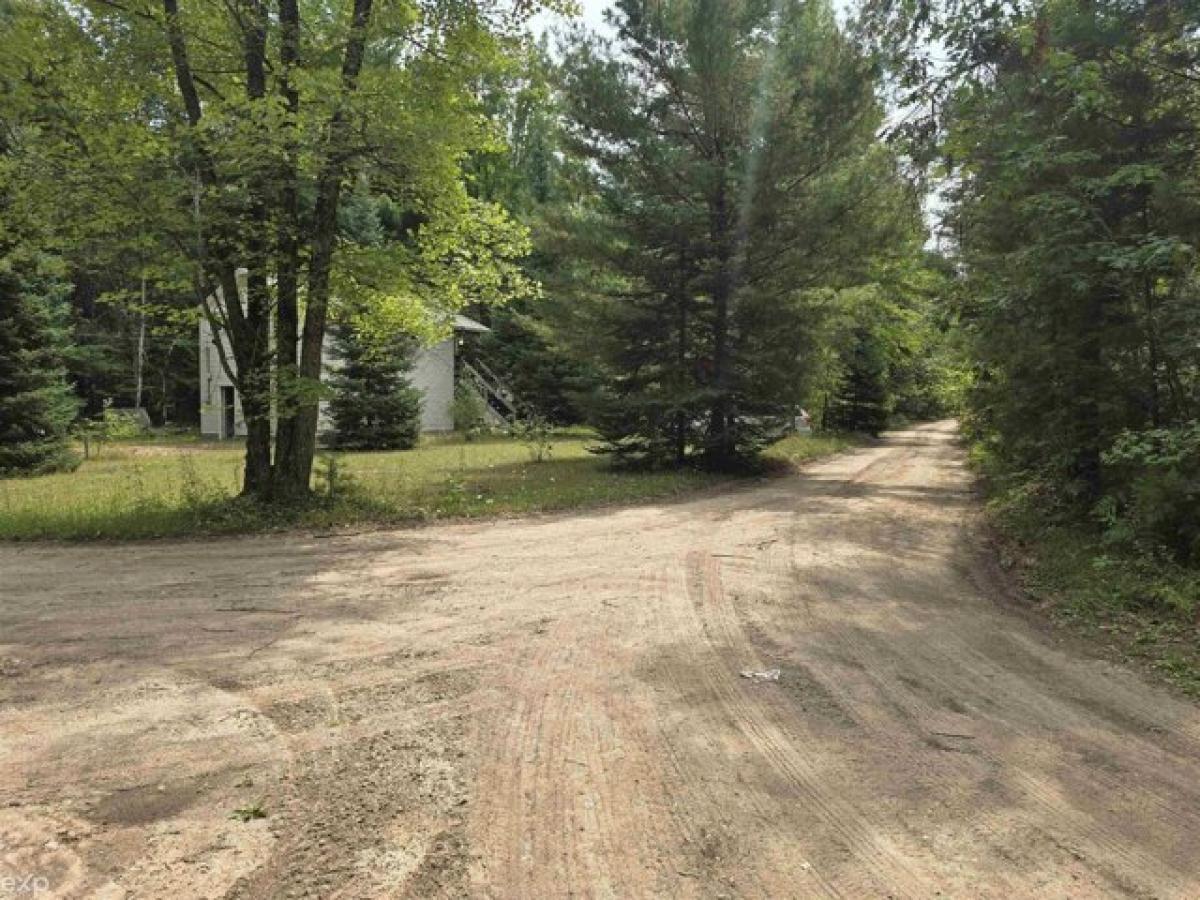 Picture of Home For Sale in Alger, Michigan, United States