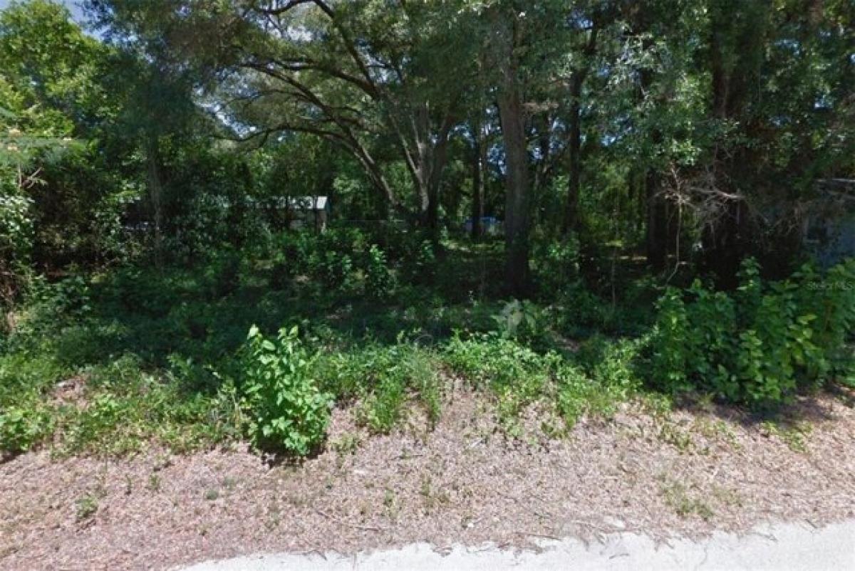 Picture of Residential Land For Sale in Alachua, Florida, United States