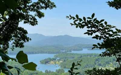 Residential Land For Sale in Hayesville, North Carolina