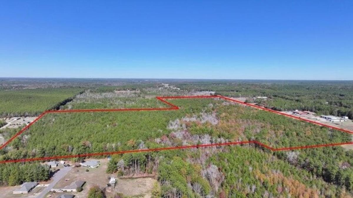 Picture of Residential Land For Sale in Leesville, Louisiana, United States