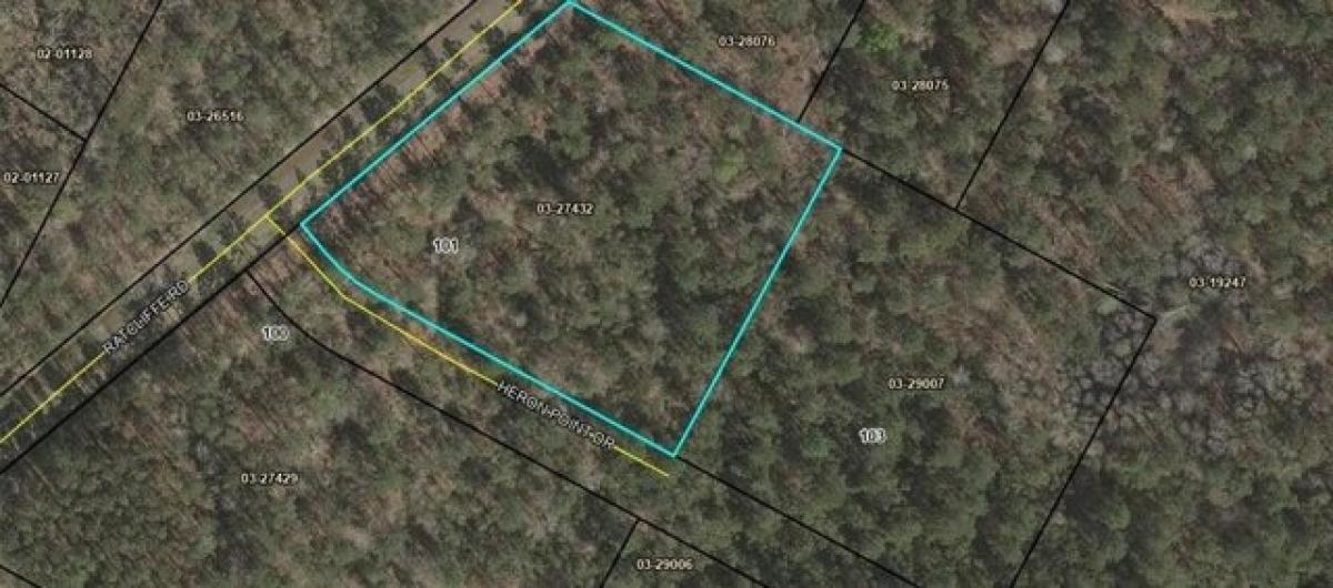 Picture of Residential Land For Sale in Brunswick, Georgia, United States