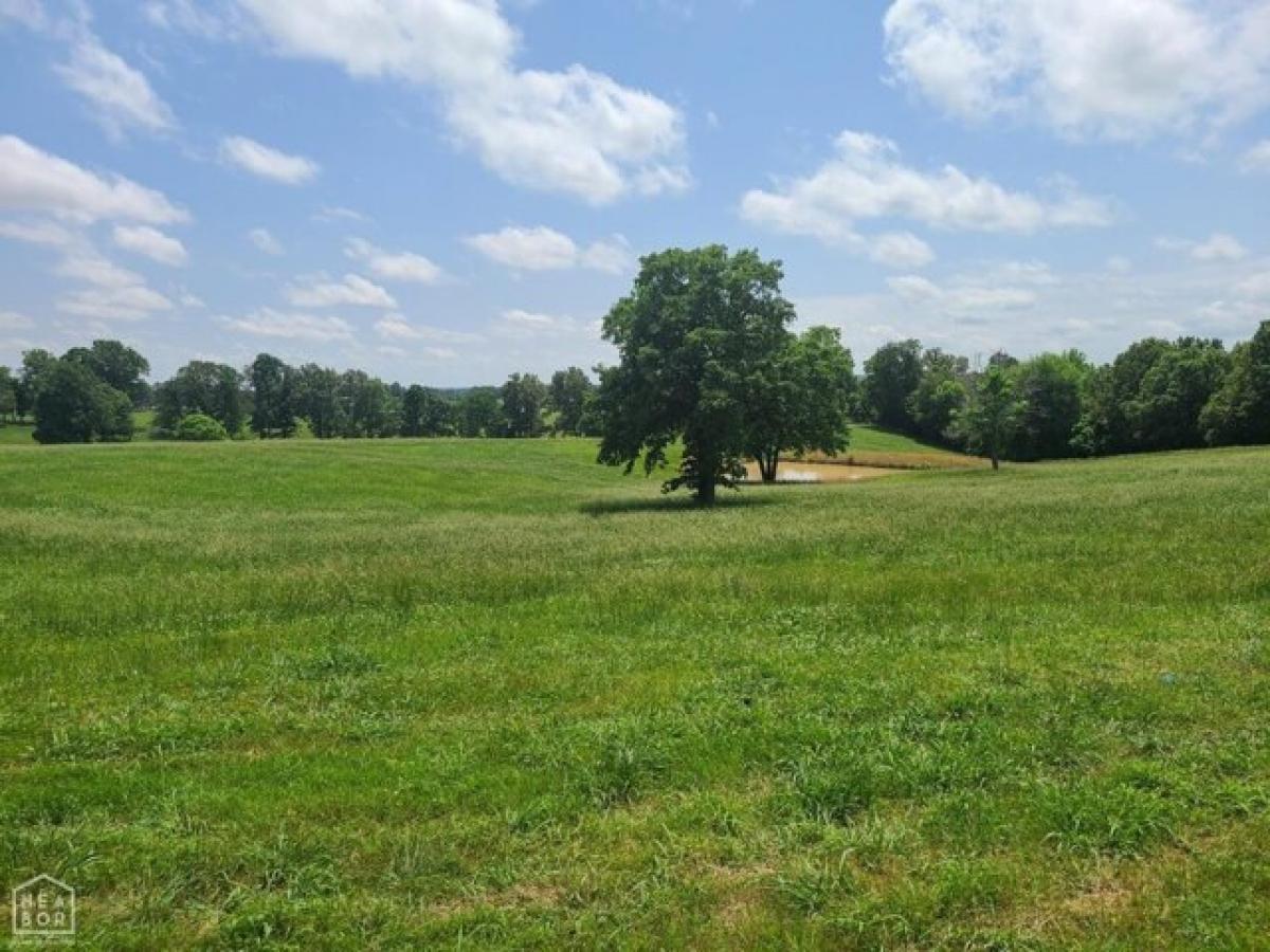 Picture of Residential Land For Sale in Piggott, Arkansas, United States