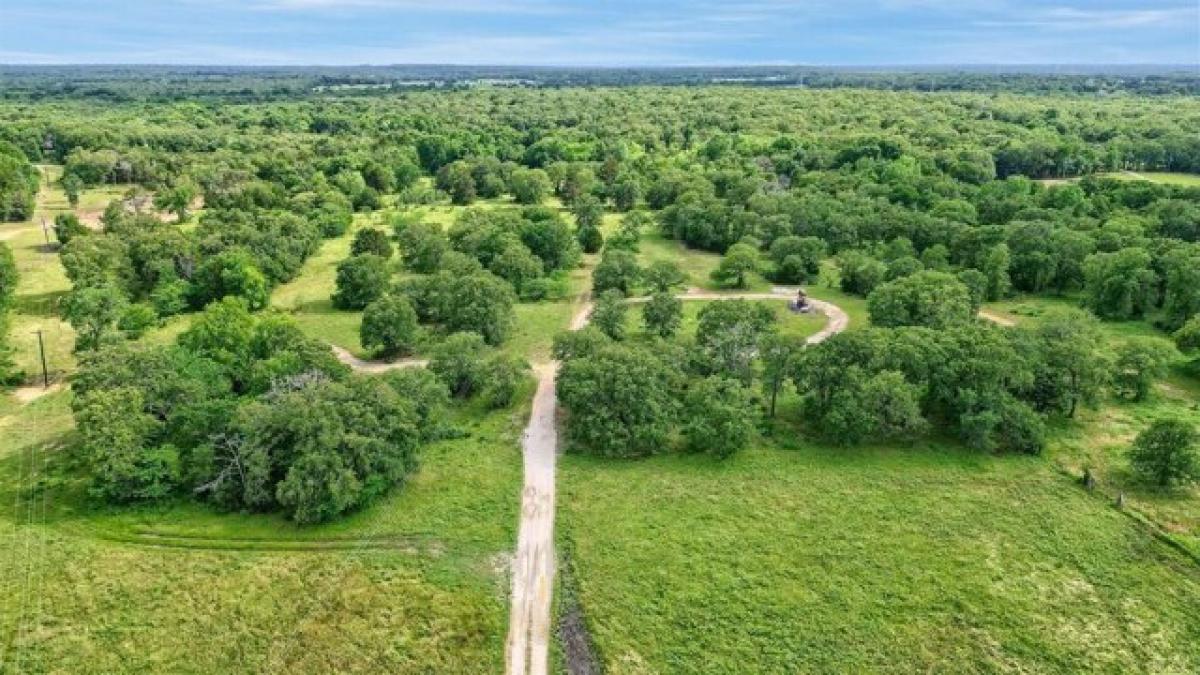 Picture of Residential Land For Sale in Gainesville, Texas, United States