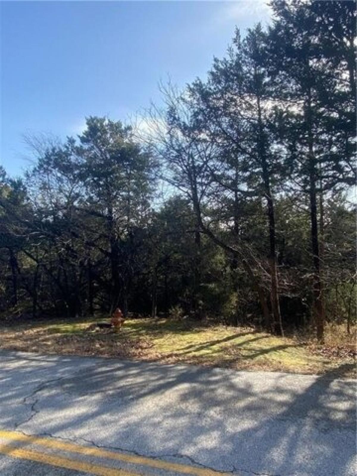 Picture of Residential Land For Sale in Holiday Island, Arkansas, United States