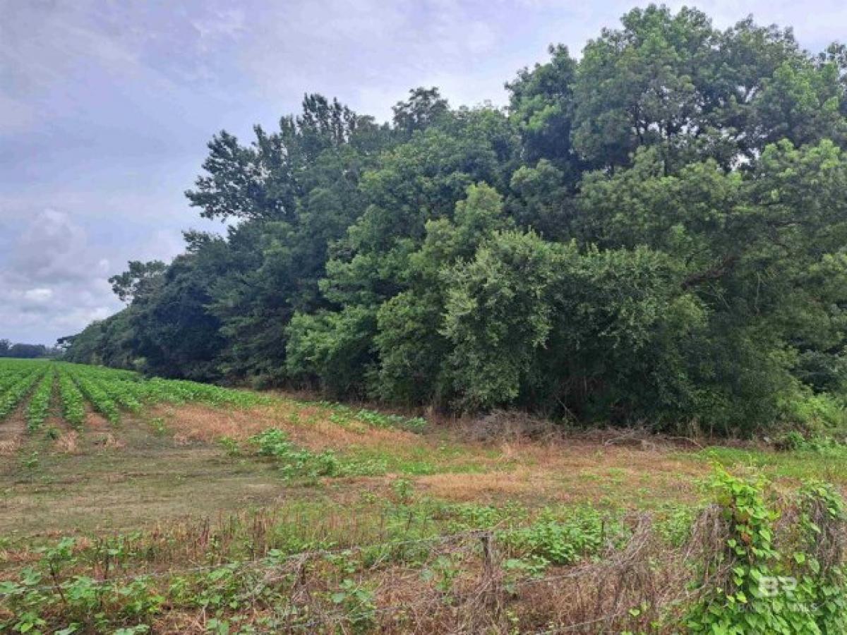 Picture of Residential Land For Sale in Grand Bay, Alabama, United States