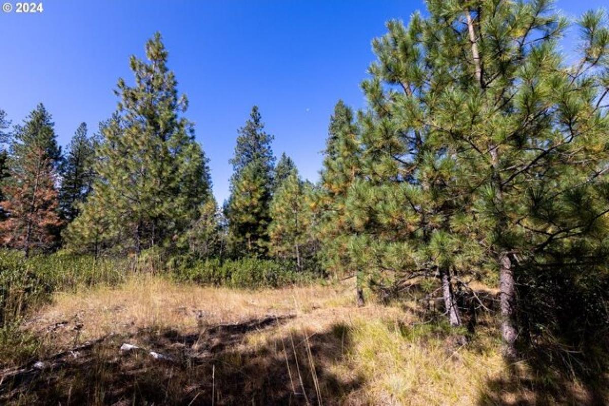 Picture of Residential Land For Sale in Trout Lake, Washington, United States