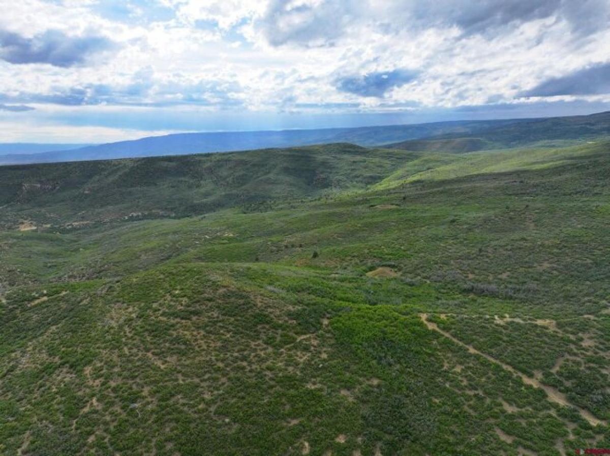 Picture of Residential Land For Sale in Cedaredge, Colorado, United States