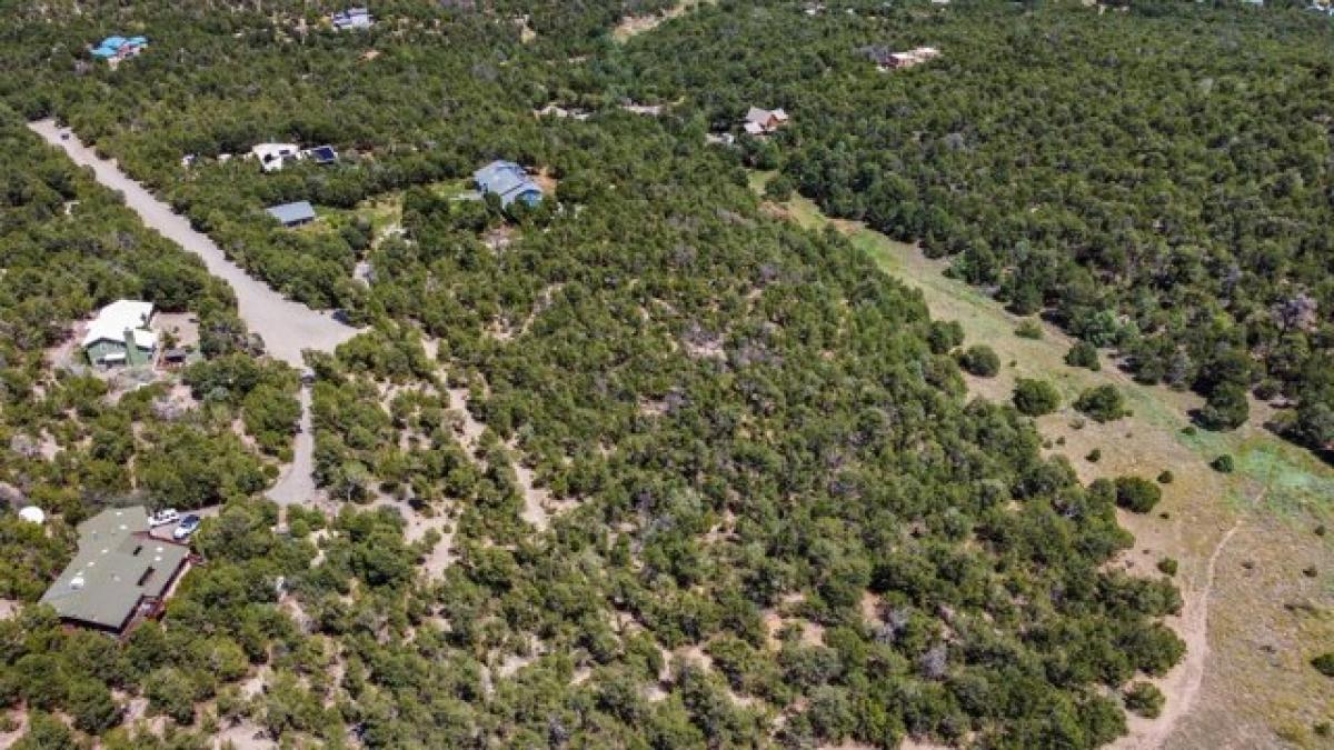 Picture of Residential Land For Sale in Tijeras, New Mexico, United States