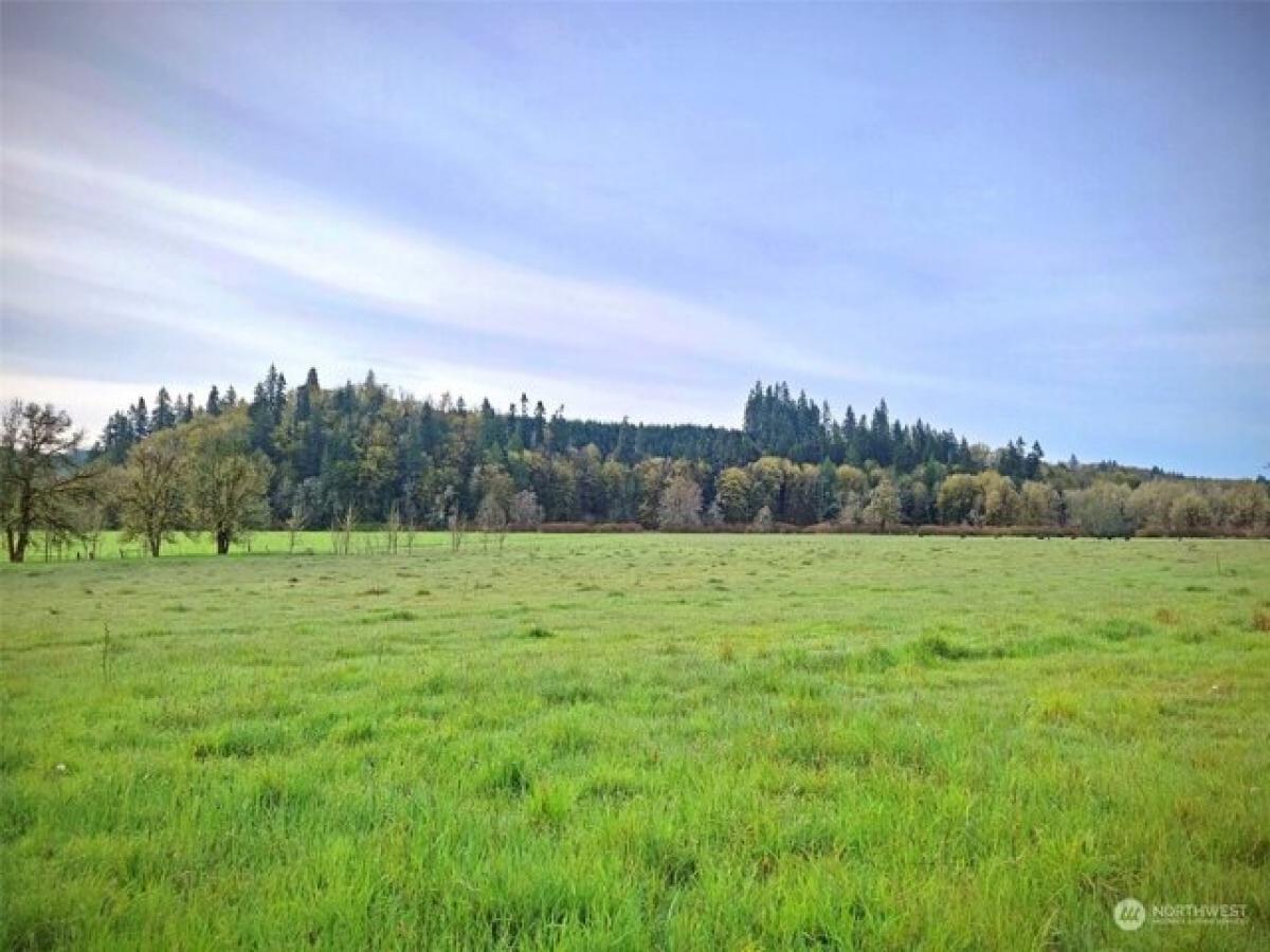 Picture of Residential Land For Sale in Centralia, Washington, United States