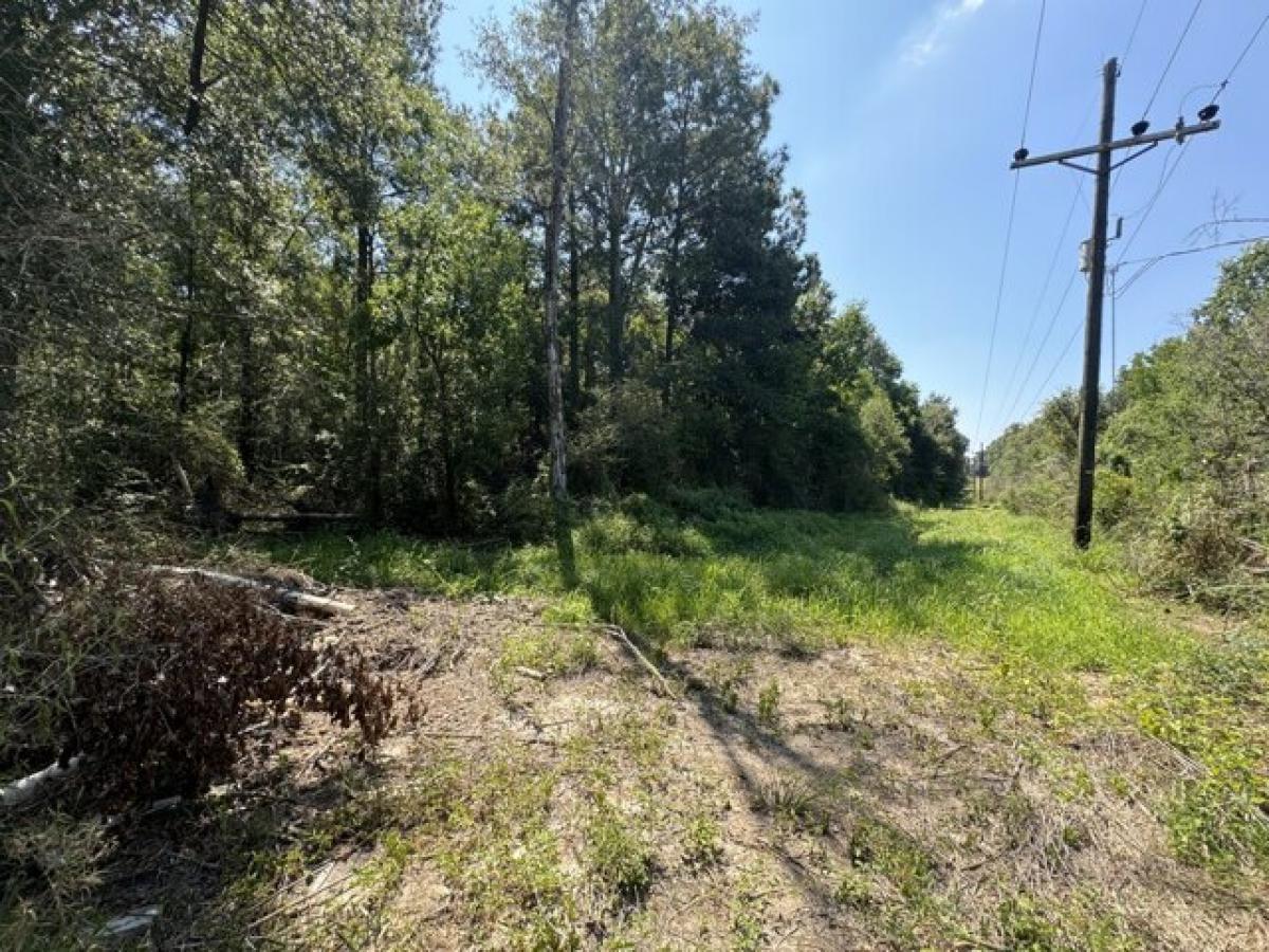 Picture of Residential Land For Sale in Leesville, Louisiana, United States