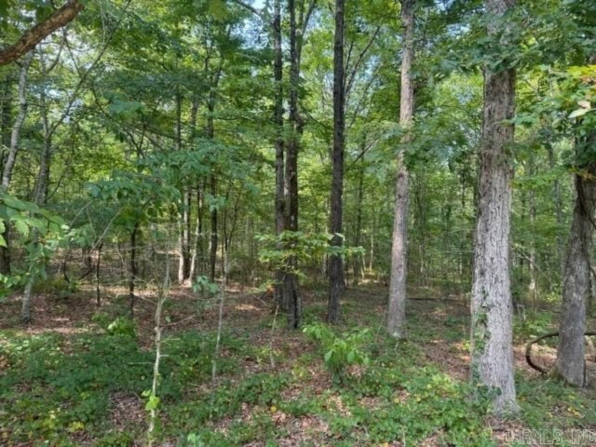 Picture of Residential Land For Sale in Bigelow, Arkansas, United States