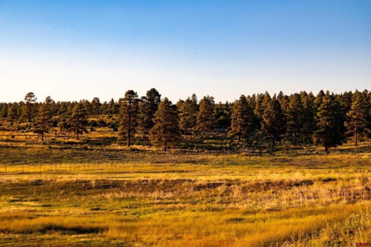 Picture of Home For Sale in Mancos, Colorado, United States