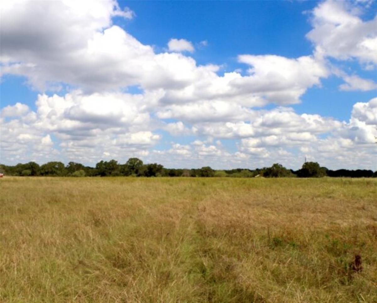 Picture of Residential Land For Sale in Kemp, Texas, United States