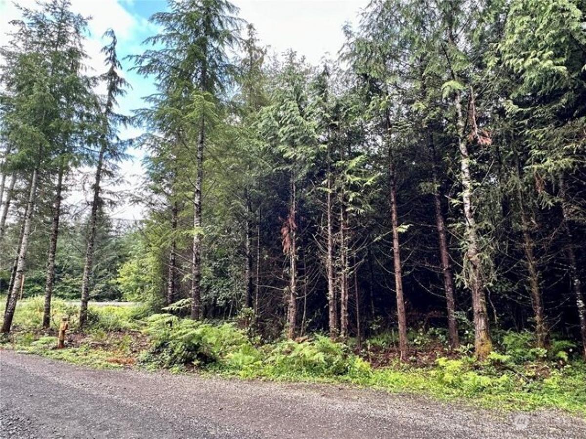 Picture of Residential Land For Sale in Port Angeles, Washington, United States