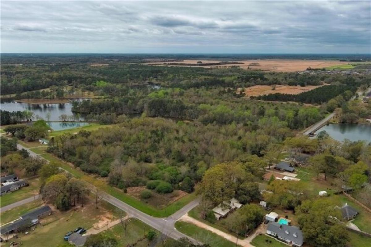 Picture of Residential Land For Sale in Theodore, Alabama, United States