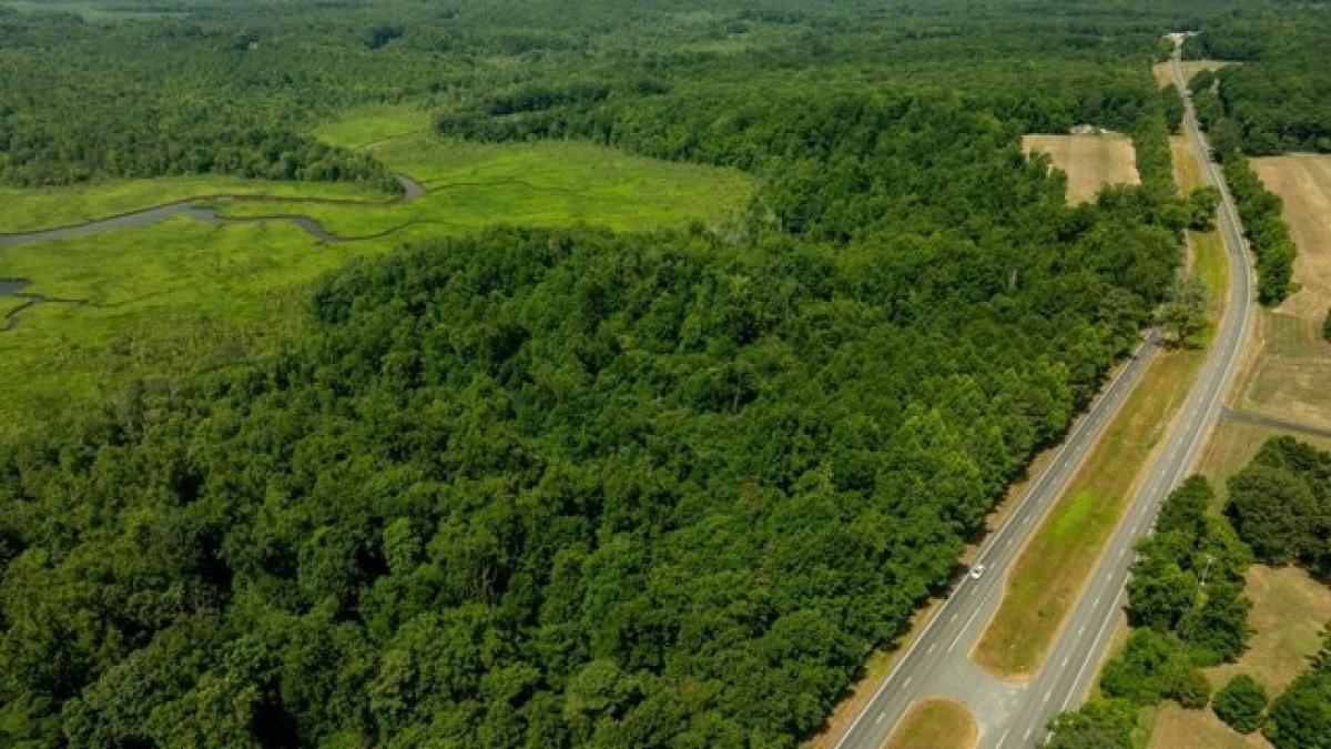 Picture of Residential Land For Sale in Caret, Virginia, United States