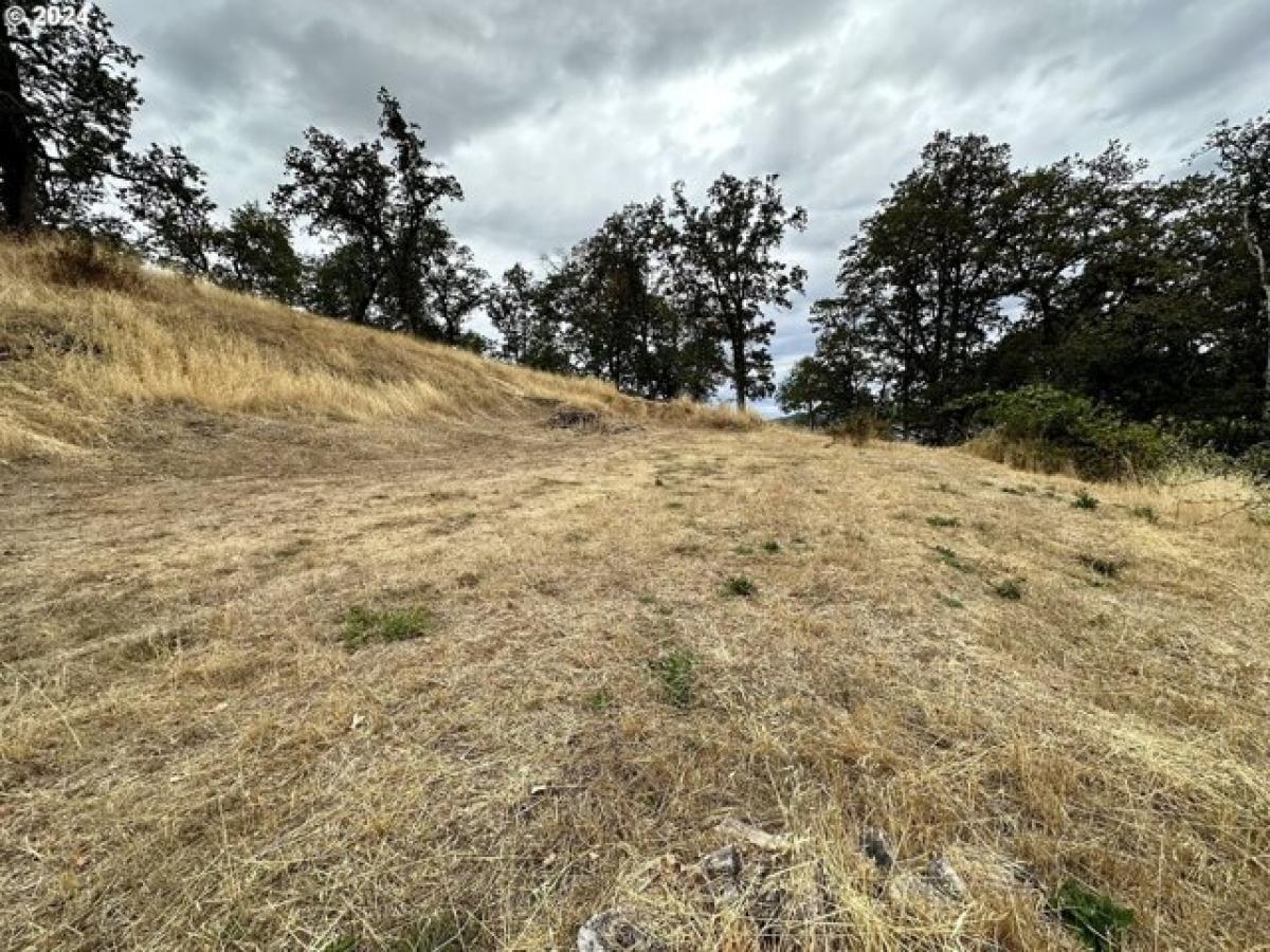 Picture of Residential Land For Sale in Roseburg, Oregon, United States