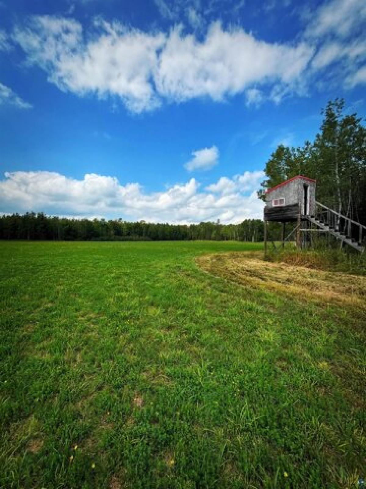 Picture of Residential Land For Sale in Mason, Wisconsin, United States