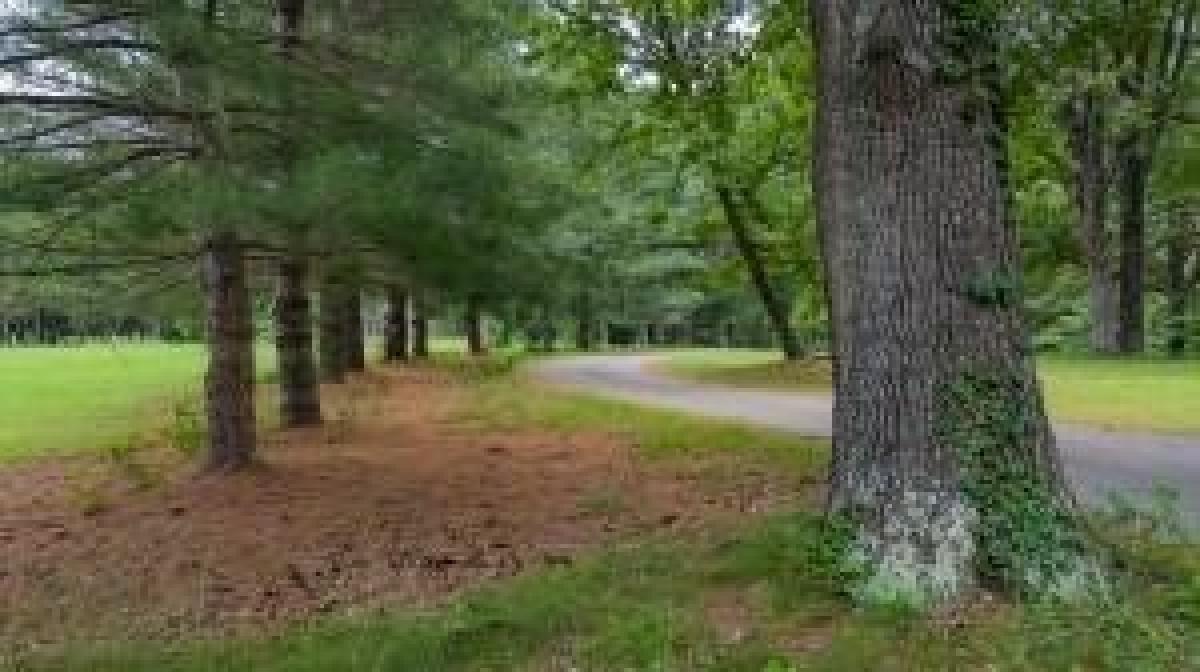 Picture of Residential Land For Sale in Harrison, Arkansas, United States