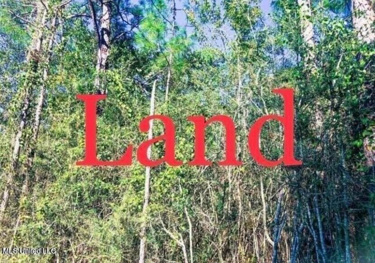 Picture of Residential Land For Sale in Bay Saint Louis, Mississippi, United States