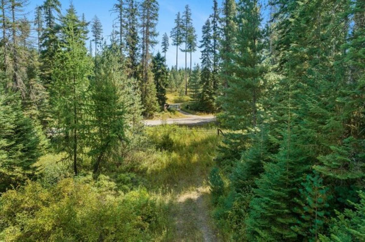 Picture of Residential Land For Sale in Coeur d Alene, Idaho, United States