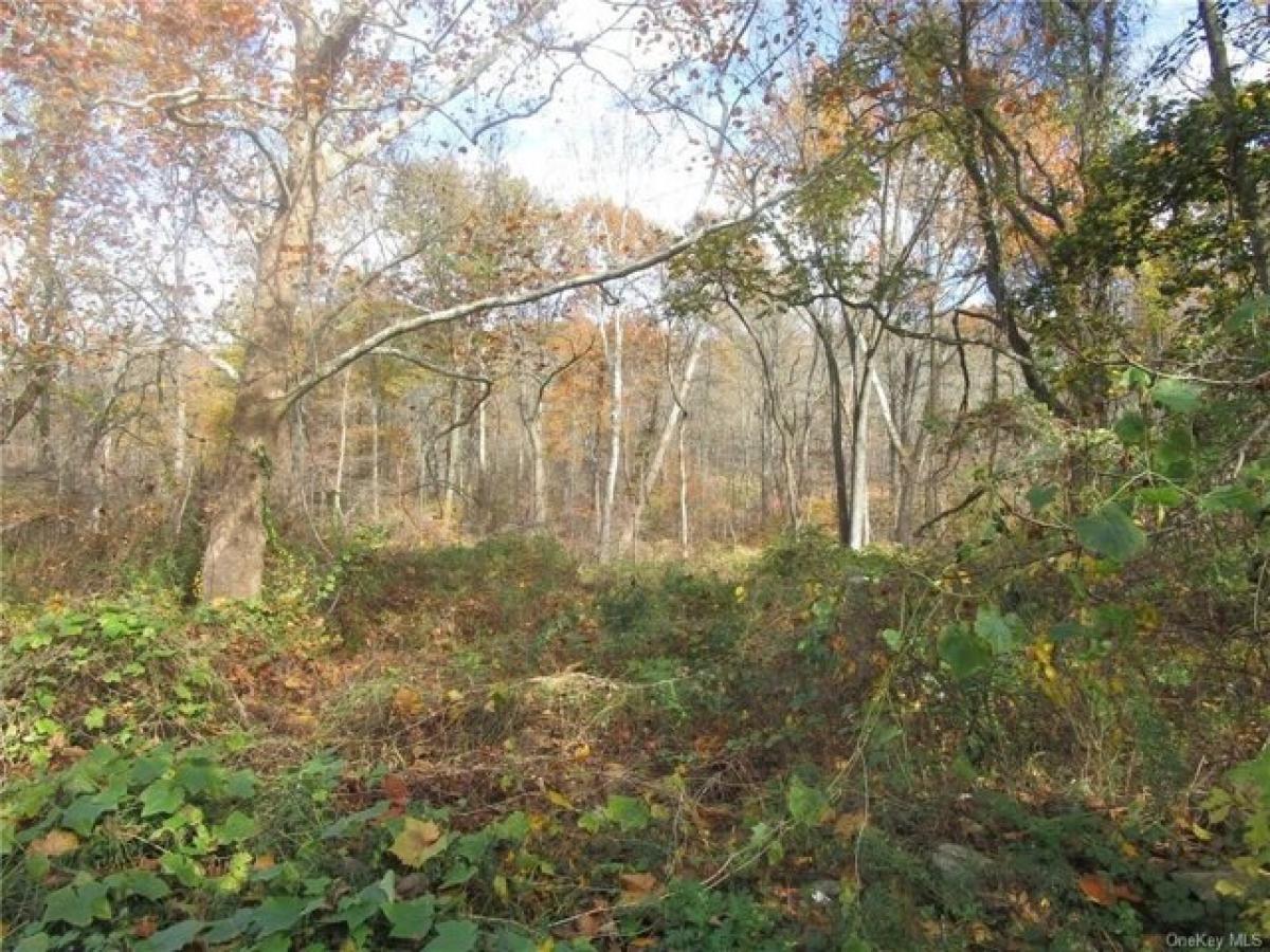 Picture of Residential Land For Sale in Mohegan Lake, New York, United States