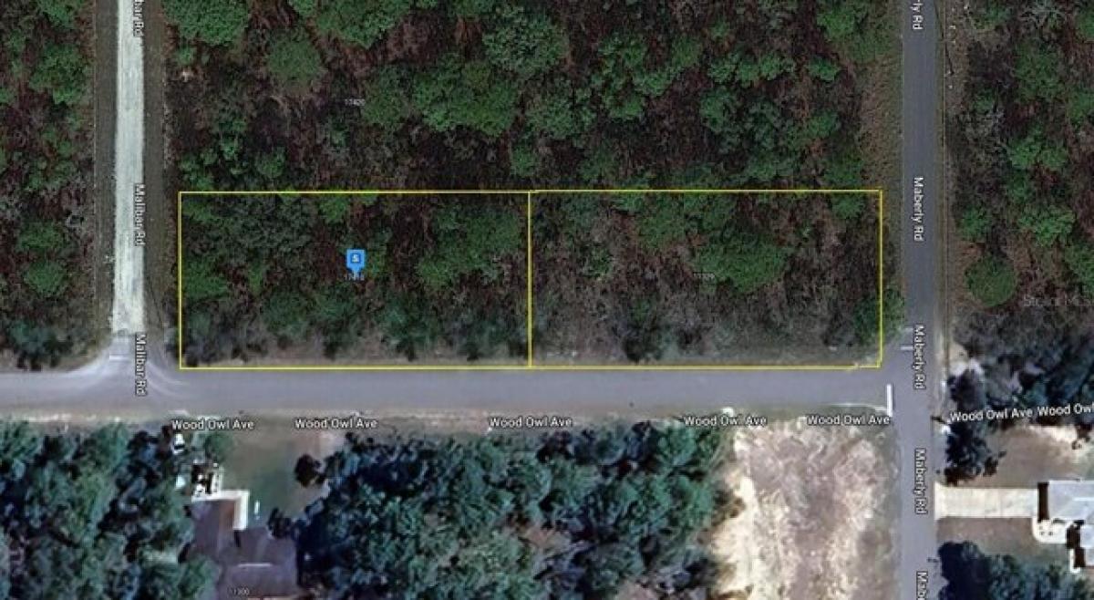 Picture of Residential Land For Sale in Weeki Wachee, Florida, United States