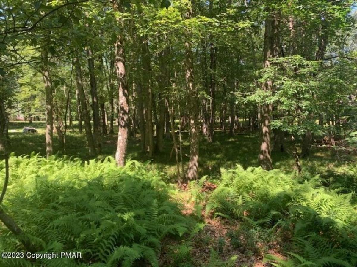 Picture of Residential Land For Sale in Albrightsville, Pennsylvania, United States