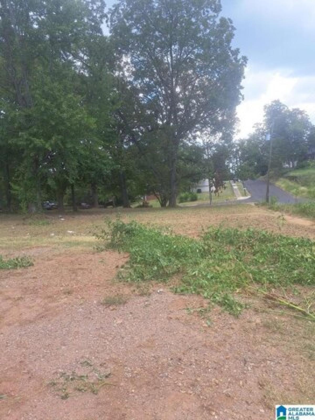 Picture of Residential Land For Sale in Birmingham, Alabama, United States