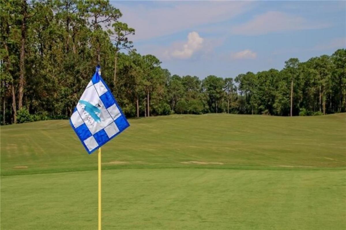 Picture of Residential Land For Sale in Saint Marys, Georgia, United States