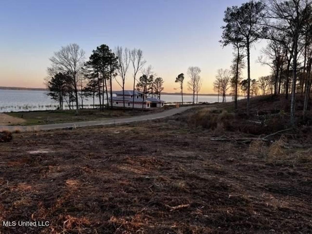 Picture of Residential Land For Sale in Canton, Mississippi, United States