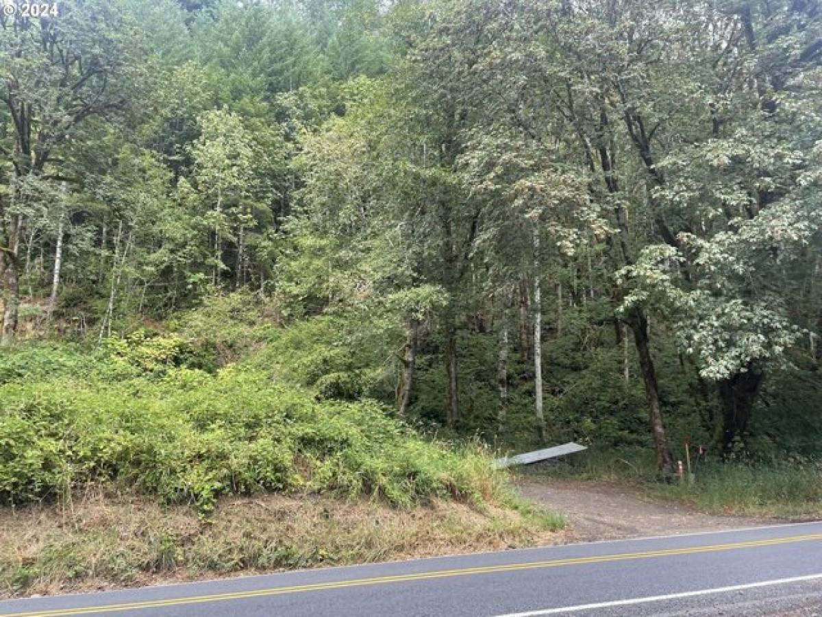 Picture of Residential Land For Sale in Alsea, Oregon, United States