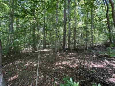 Residential Land For Sale in 