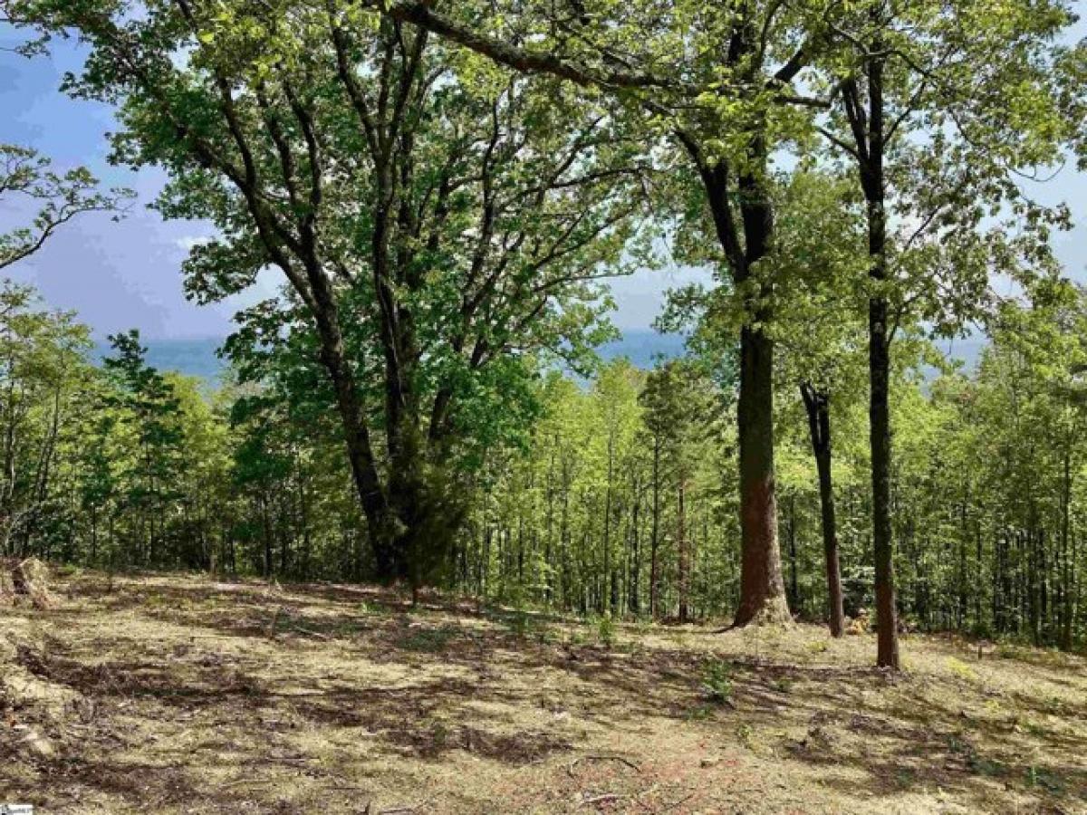 Picture of Residential Land For Sale in Landrum, South Carolina, United States