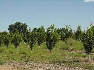 Residential Land For Sale in Outlook, Washington