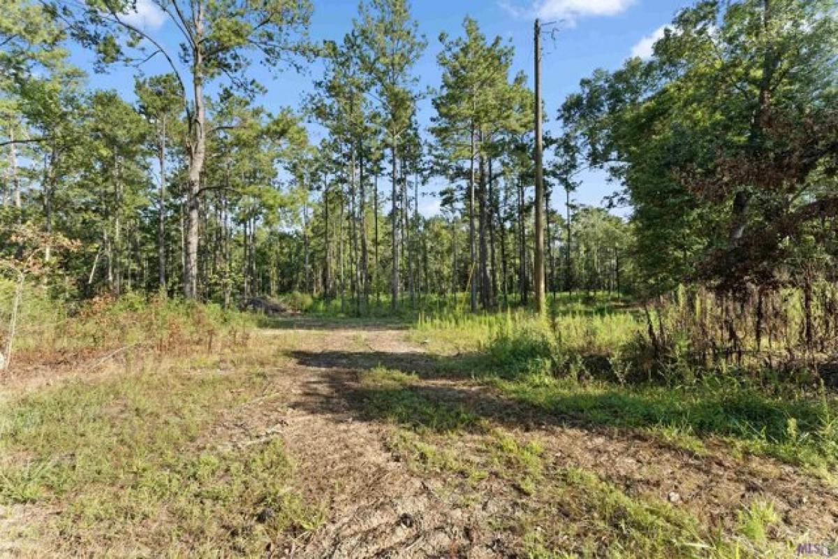 Picture of Residential Land For Sale in Clinton, Louisiana, United States